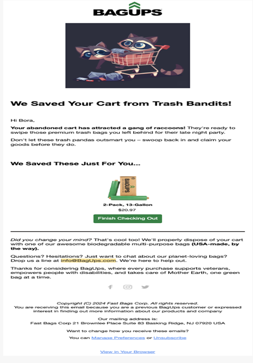 Reducing Cart Abandonment for BagUps